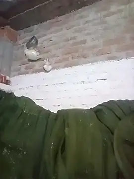 Hindicouple1 online show from 27, 5, 2026
