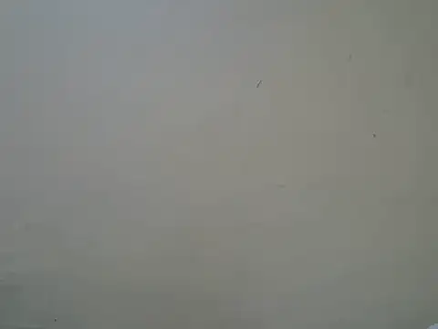 Talishabae online show from 12, 6, 2026