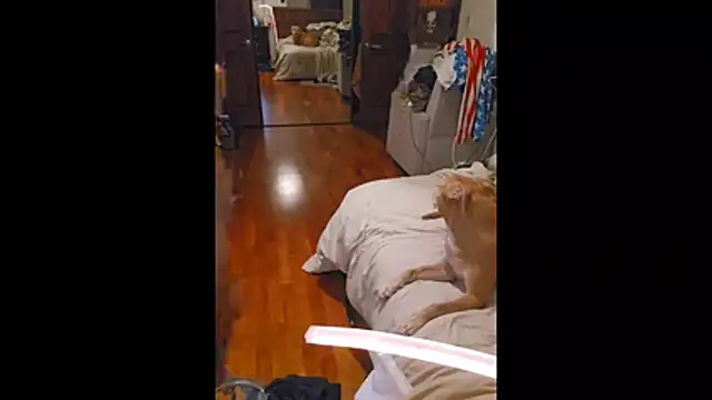 Clevername90 online show from 26, 10, 2025