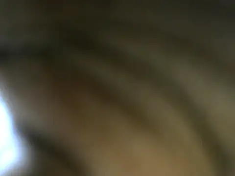 Ass matic ebony online show from 6, 6, 2026