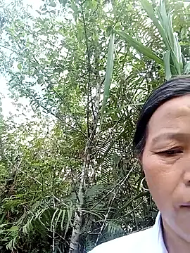 Snapshot of Elfledaa chatting on 3, 6, 2026 Elfledaa online show from 3, 6, 2026