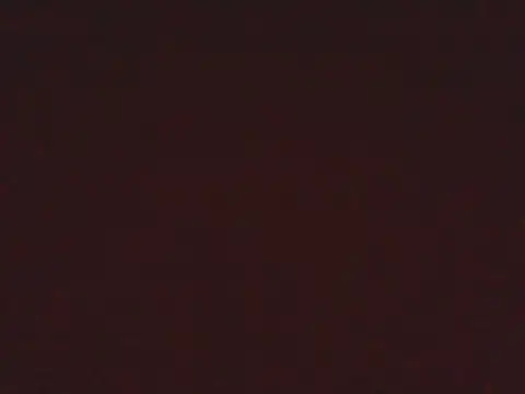 Snapshot of Petite-divaa chatting on 24, 5, 2026 Petite-divaa online show from 24, 5, 2026