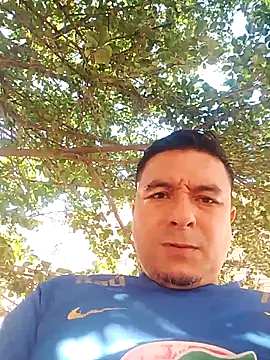 gordinhototoso86 online show from 24, 6, 2026