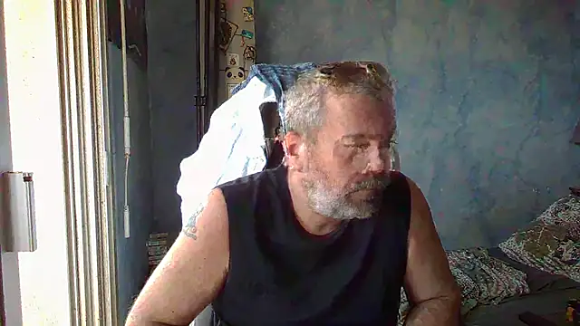 panda 06200 online show from 30, 5, 2026