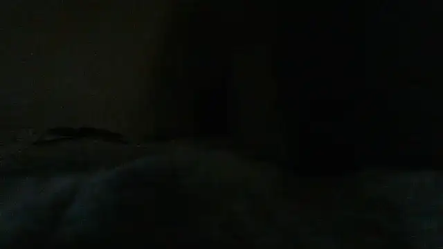 LilDaddyX online show from 14, 6, 2026