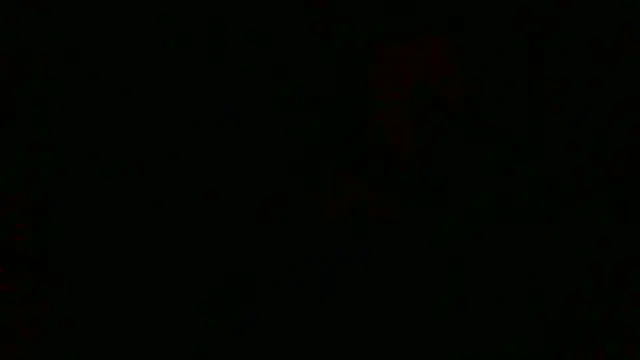 LilDaddyX online show from 23, 7, 2026