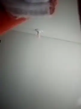 ANDRES HOT-1996 online show from 1, 3, 2026