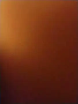 Harddickdadbod online show from 6, 6, 2026