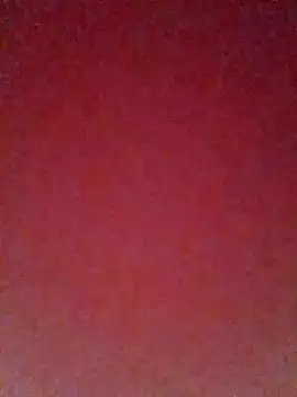 pricilanunes online show from 6, 7, 2026
