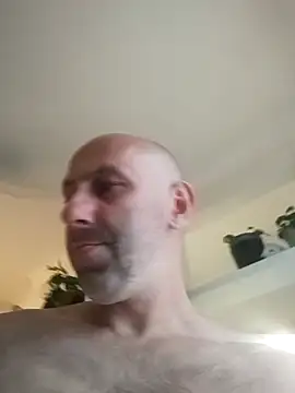 WienBearBi online show from 5, 6, 2026