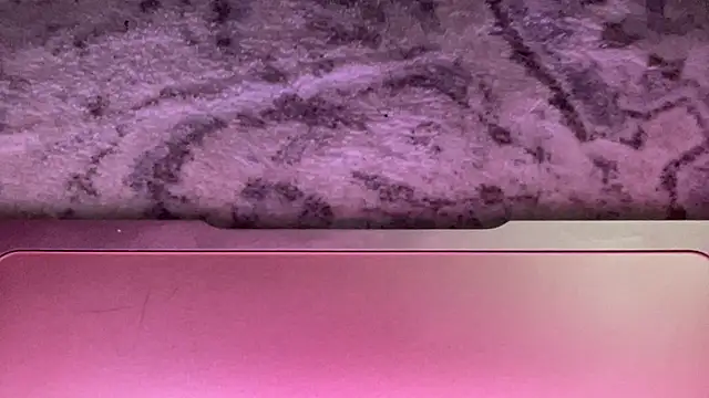 roxxinefox online show from 7, 6, 2026