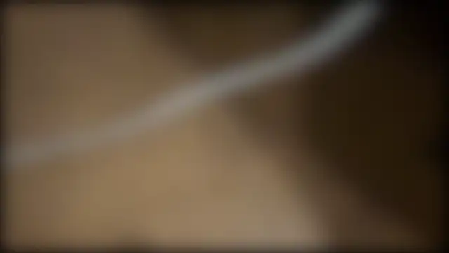 fuckr66669 online show from 19, 7, 2026