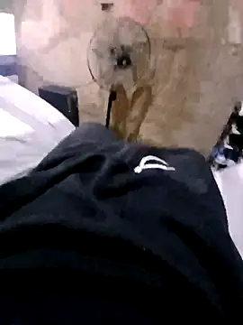 Ricapajarica online show from 14, 1, 2026