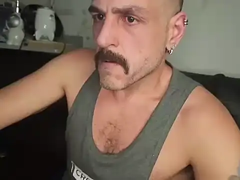 BrunoAlphaBR online show from 15, 7, 2026