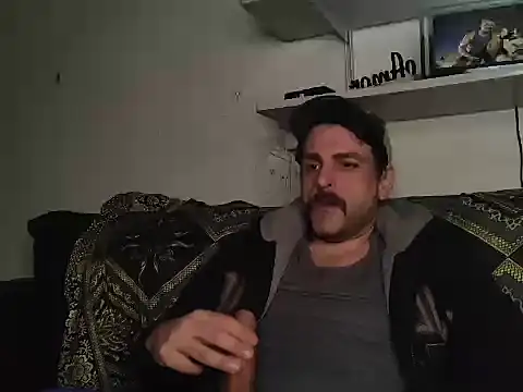 BrunoAlphaBR online show from 26, 6, 2026