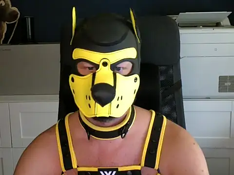 WildyLynx online show from 7, 7, 2026
