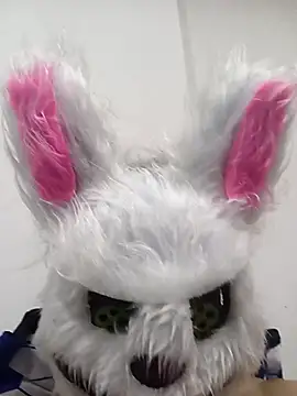 Happy rabbith online show from 17, 7, 2026