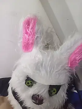 Happy rabbith online show from 16, 7, 2026