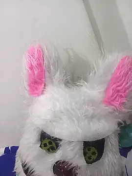 Happy rabbith online show from 19, 7, 2026