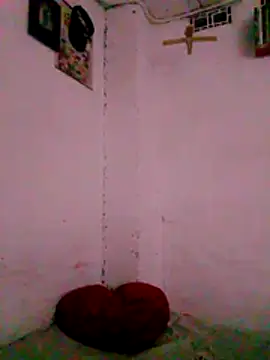 TY ROYAL online show from 26, 7, 2026