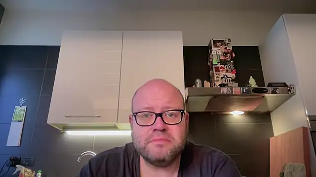 theitalianbear online show from 8, 5, 2026