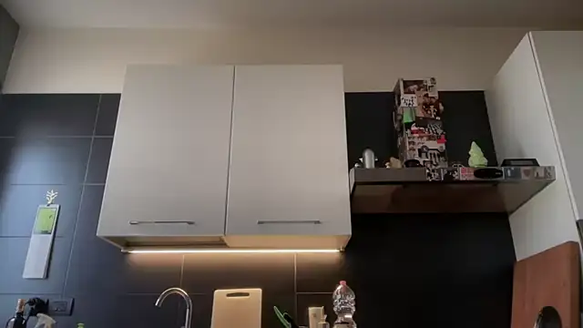 theitalianbear online show from 28, 3, 2026