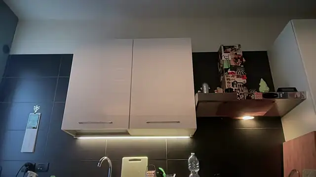 theitalianbear online show from 6, 2, 2026