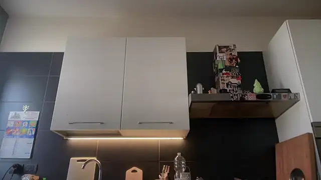 theitalianbear online show from 10, 1, 2026