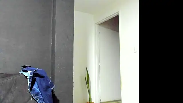 Snapshot of Vanesplay chatting on 28, 7, 2026 Vanesplay online show from 28, 7, 2026