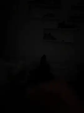 carlooos12 online show from 13, 3, 2026