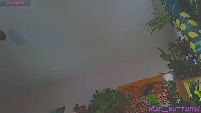 Dead Butterfly online show from 14, 12, 2024