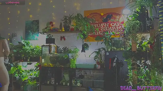 Dead Butterfly online show from 12, 1, 2025