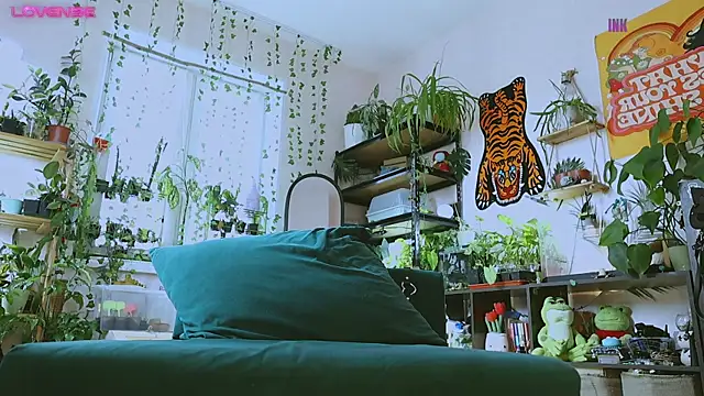 Dead Butterfly online show from 4, 4, 2026