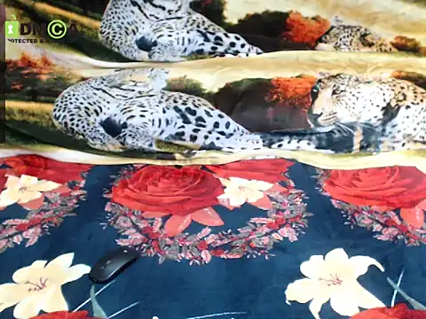 Queen Sarah online show from 13, 12, 2025