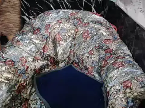 ASIANDOLLY4U online show from 2, 2, 2026