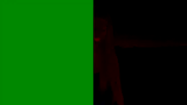 hianne online show from 26, 10, 2025