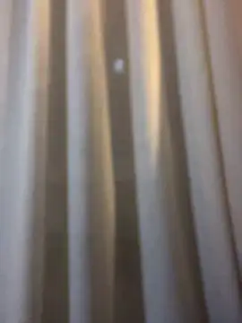 Chic desire online show from 22, 2, 2026