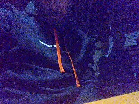 KosBi69 online show from 5, 1, 2026