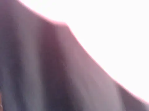 sissyvee online show from 18, 6, 2026