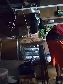 Biknight online show from 29, 3, 2026