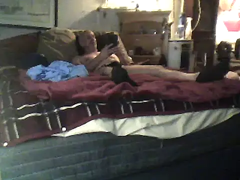 Snapshot of Biknight chatting on 12, 2, 2025 Biknight online show from 12, 2, 2025