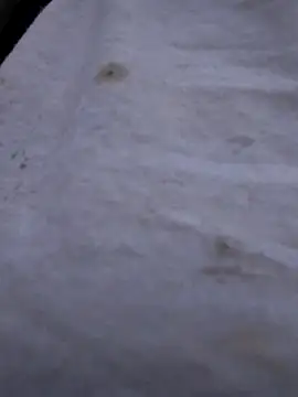 Biknight online show from 21, 10, 2025