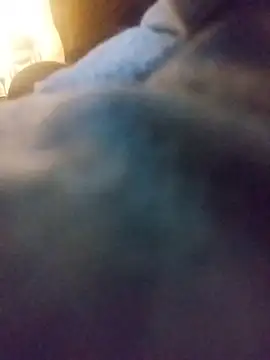 Biknight online show from 7, 1, 2026