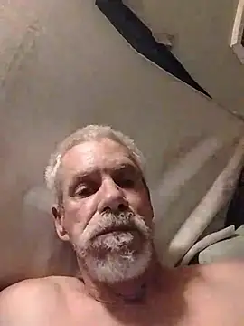 Biknight online show from 3, 4, 2026