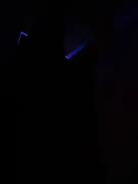 bryanerix online show from 11, 10, 2025