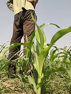 ThethunderPo online show from 2, 3, 2026