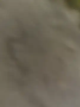 ThethunderPo online show from 31, 10, 2025