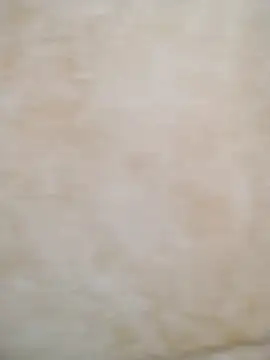 Camilatinass  online show from 3, 4, 2026