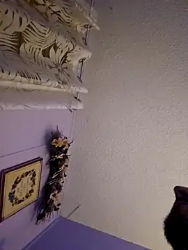 UncutHammer69 online show from 20, 12, 2025