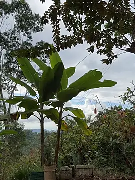 LINDA PATTY94 online show from 11, 3, 2026